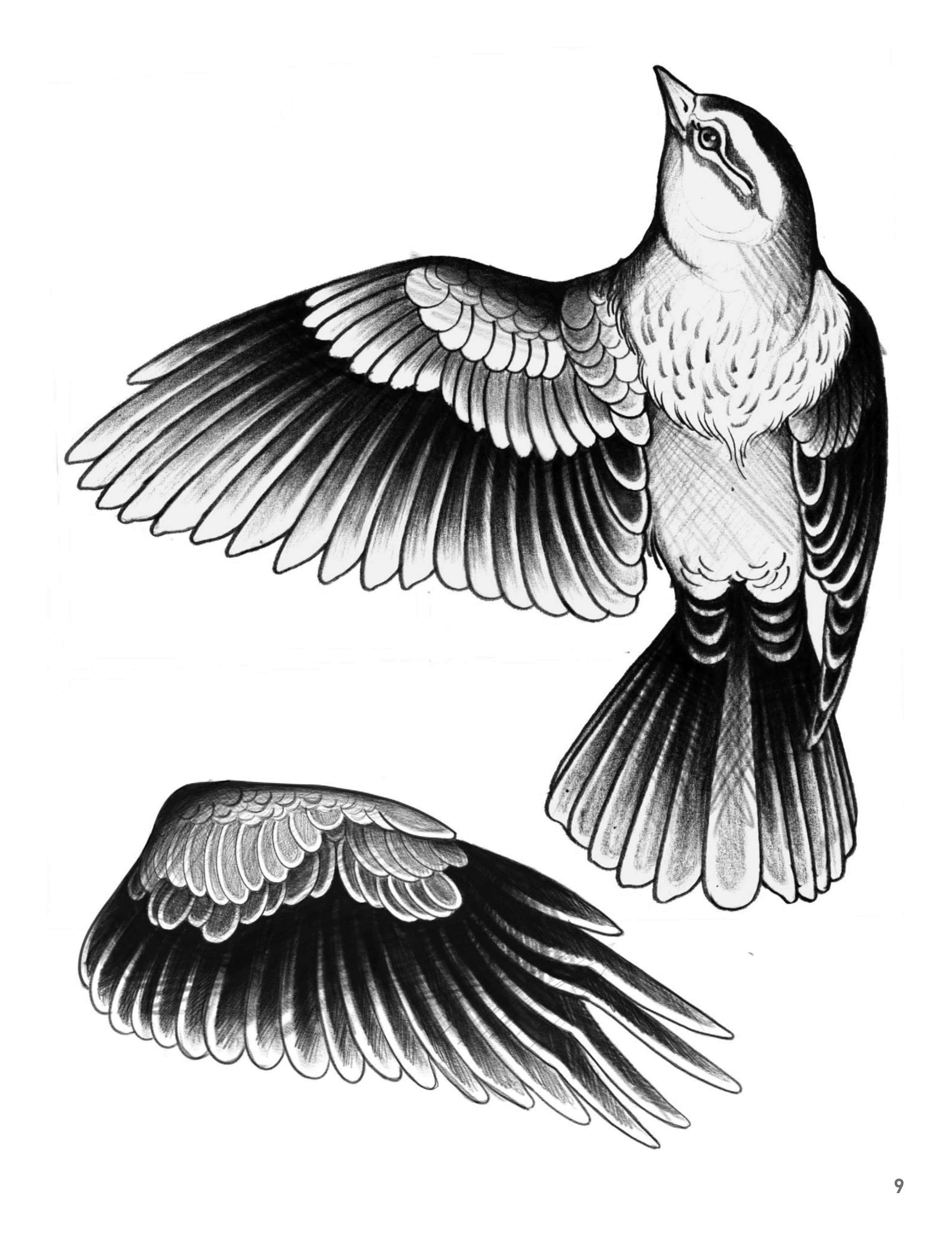 Sketchbook II - Página 3